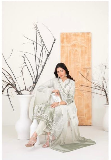 D - 2224 - Semi-Stitched Fancy Heavy Embroidered Organza with complementaryclutch suit